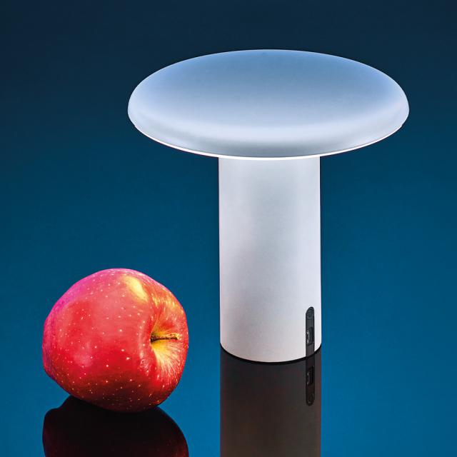 Artemide Takku rechargeable LED table lamp with dimmer