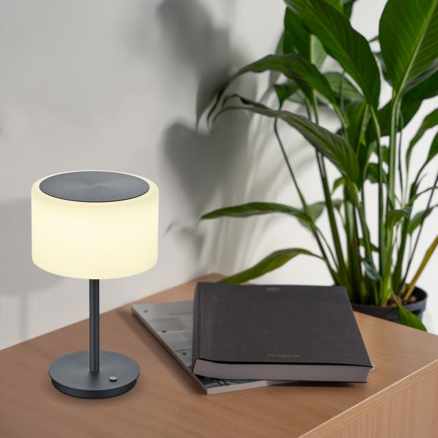 BANKAMP GRAND OPAL LED table lamp with Dim-To-Warm