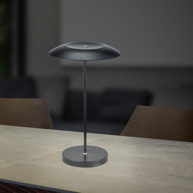 HELL CURLING LED table lamp with dimmer