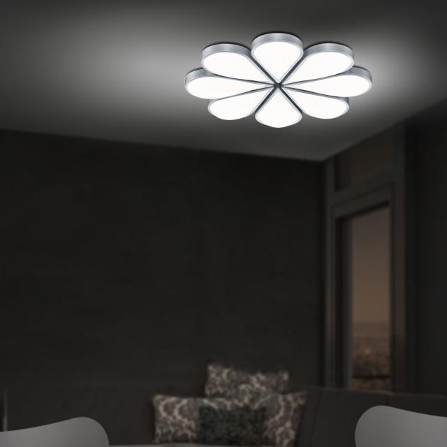 HELL FLOWER LED ceiling light with dimmer and CCT