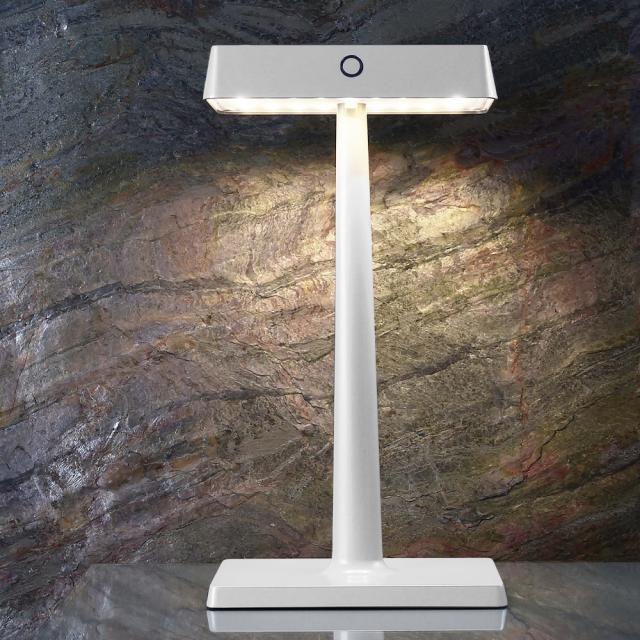 DEKOLIGHT Algieba rechargeable LED table lamp with dimmer