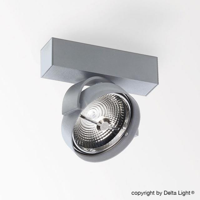 DELTA LIGHT Rand 111 LED DIM8 ceiling light / spotlight, 1 head