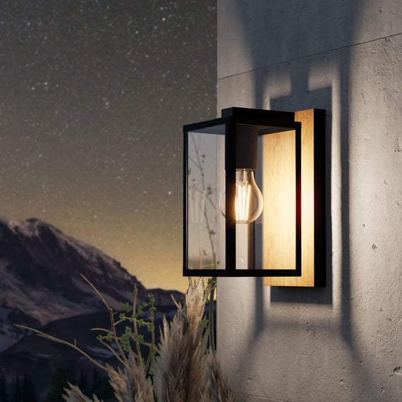 Applique Murale Eglo Milton - Acier Et Verre - IP44 - Pour Extérieur/Intérieur - E27 Max 60W