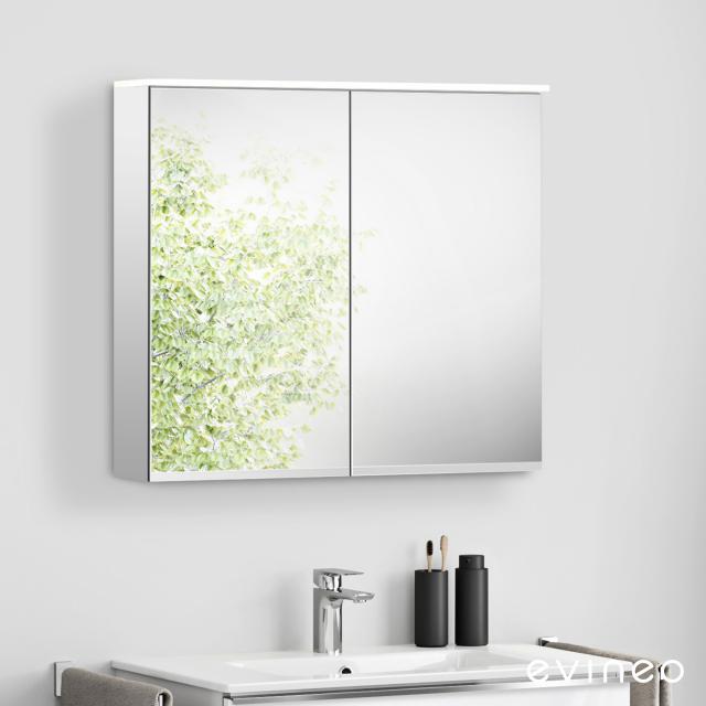 Evineo ineo mirror cabinet with integrated LED lighting, with 2 doors