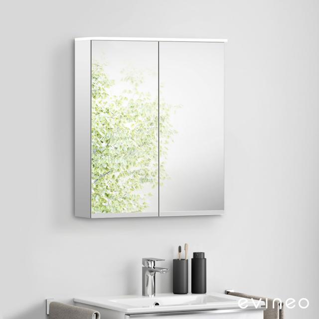 evineo ineo mirror cabinet with lighting and 2 doors