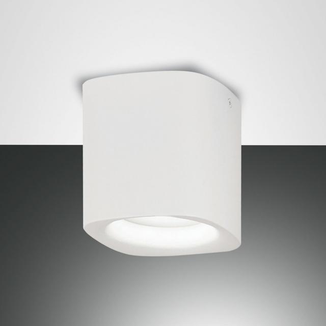FABAS LUCE Smooth spotlight / ceiling light, 1 head