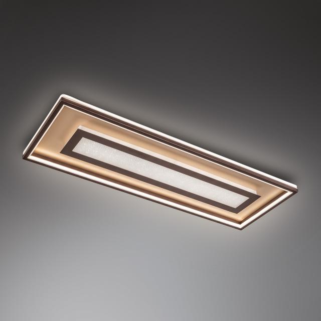 Fischer & Honsel Bug LED ceiling light with dimmer, elongated