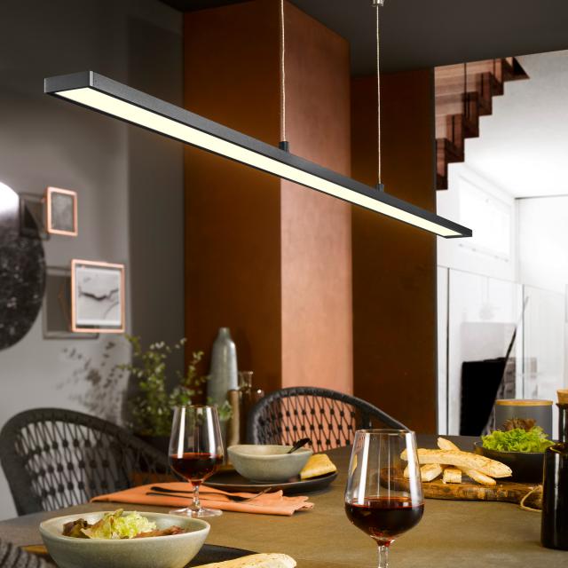 FISCHER & HONSEL Metz LED pendant light with CCT and dimmer