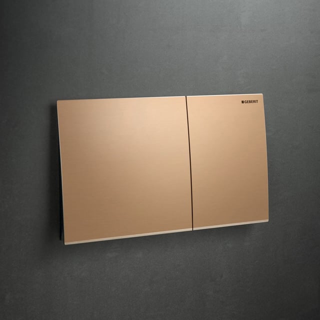 Plaque Geberit Sigma40 Rouacciaio Inoxydable / Laiton Brossé Double Bouton 115 4064746006784