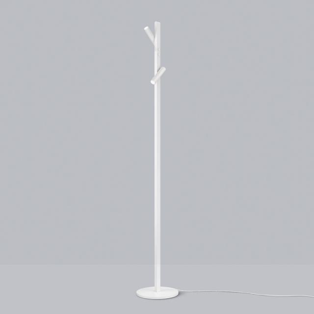 helestra CONI LED floor lamp with dimmer