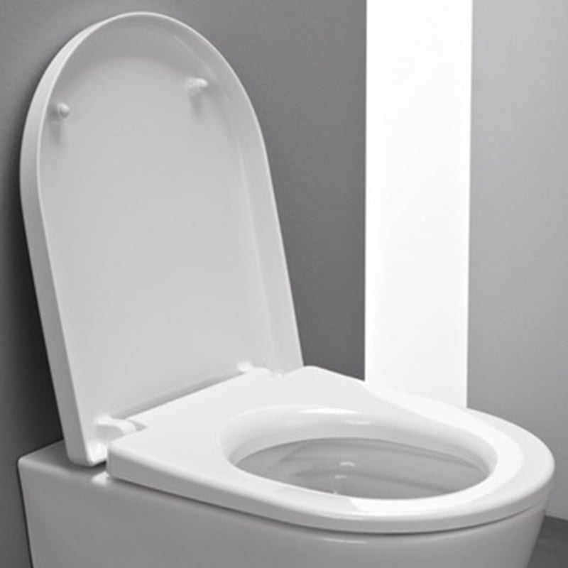 Laufen Pro toilet seat with lid for visible fitting white, with soft