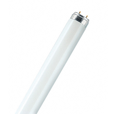 Osram Lumilux T8 Ampoule bâton, G13