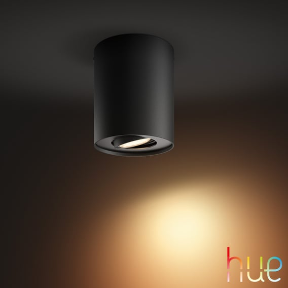 linnen Kreunt Vorming PHILIPS Hue Pillar single ceiling spotlight with dimmer - 8719514338449 |  REUTER