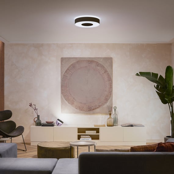 Philips Hue White & Color Ambiance Infuse Plafonnier, LED satiné ...