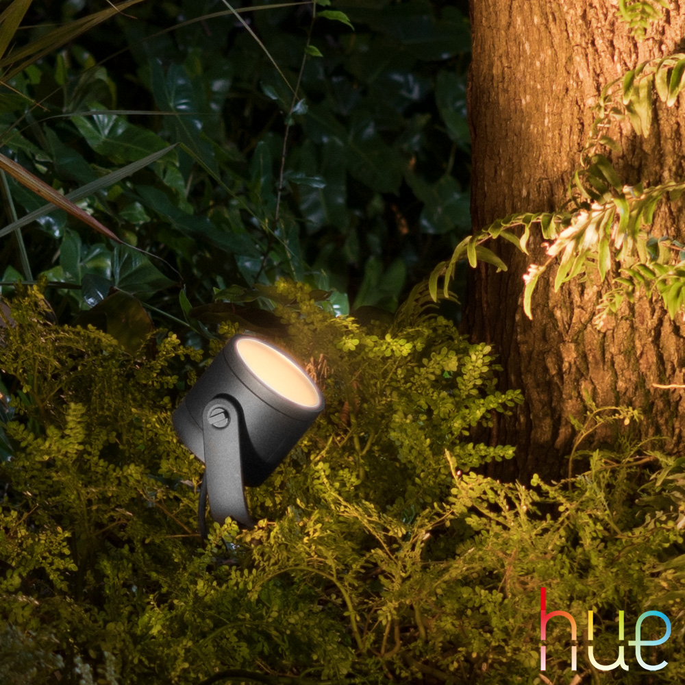 Zeggen trimmen Bourgeon PHILIPS Hue White & Ambiance Lily XL RGBW LED spotlight 24V - 1746230P7 |  REUTER