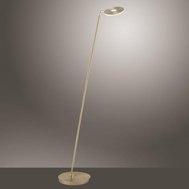 Paul Neuhaus Martin LED floor lamp with dimmer and CCT, single-headed