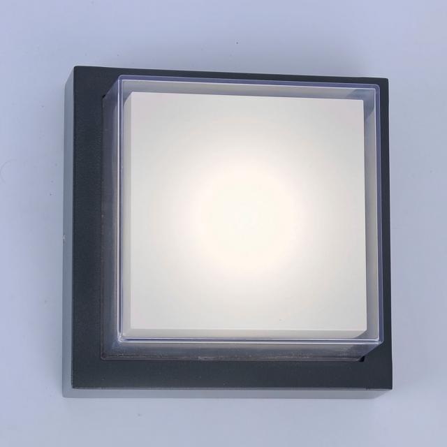 Paul Neuhaus Q-Erik RGBW LED ceiling light / wall light with dimmer