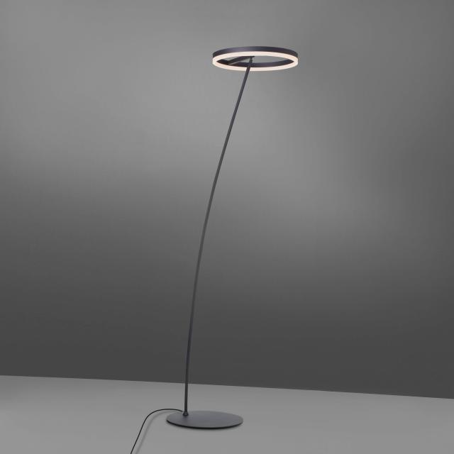 Paul Neuhaus Titus LED floor lamp with dimmer
