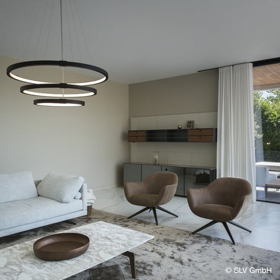 2X Lampada a Sospensione, Lampada da Soffitto con 24cm Gabbia Rotonda