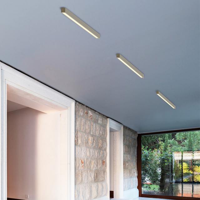Top Light Only Choice LED ceiling/wall light