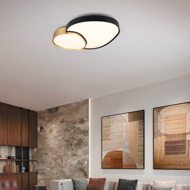 TRIO Leuchten Rise Deckenleuchte, LED dimmbar, mit Memoryfunktion, schwarz/gold - 647510280