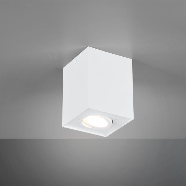 TRIO Biscuit Spot/ceiling light, 1 head