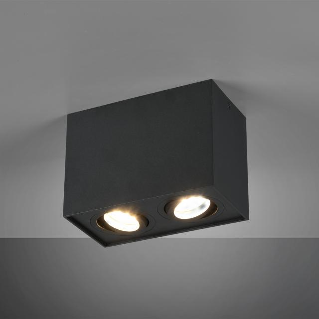 TRIO Biscuit Spot/ceiling light, 2 heads