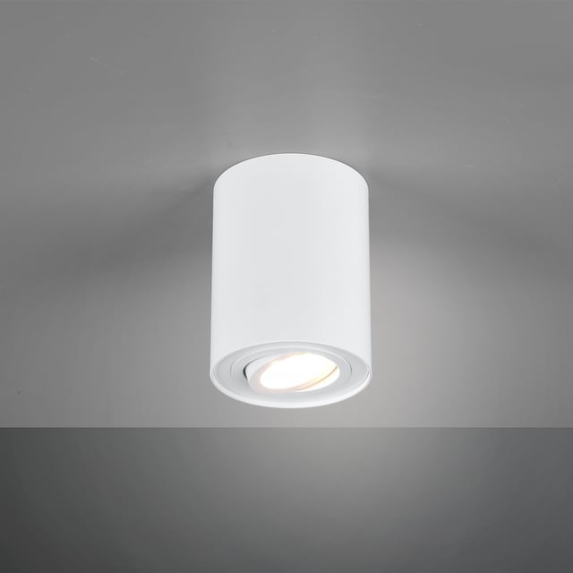 Buy Trio Leuchten lights online at REUTER