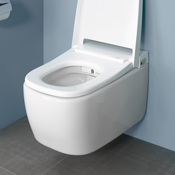 basic toilet seat