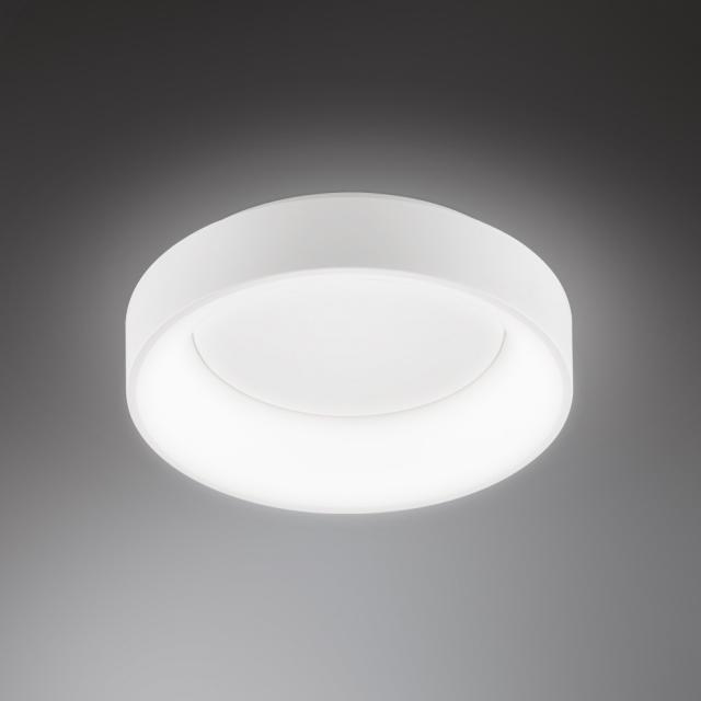 wofi Shay LED ceiling light with backlight