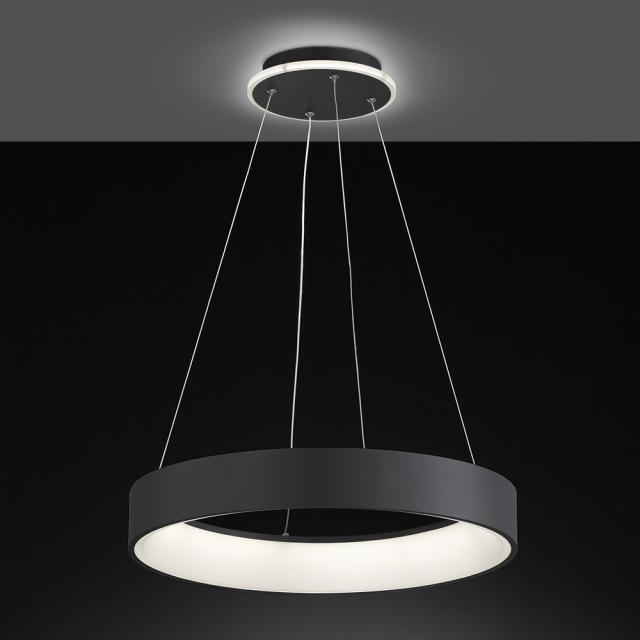 wofi Shay LED pendant light