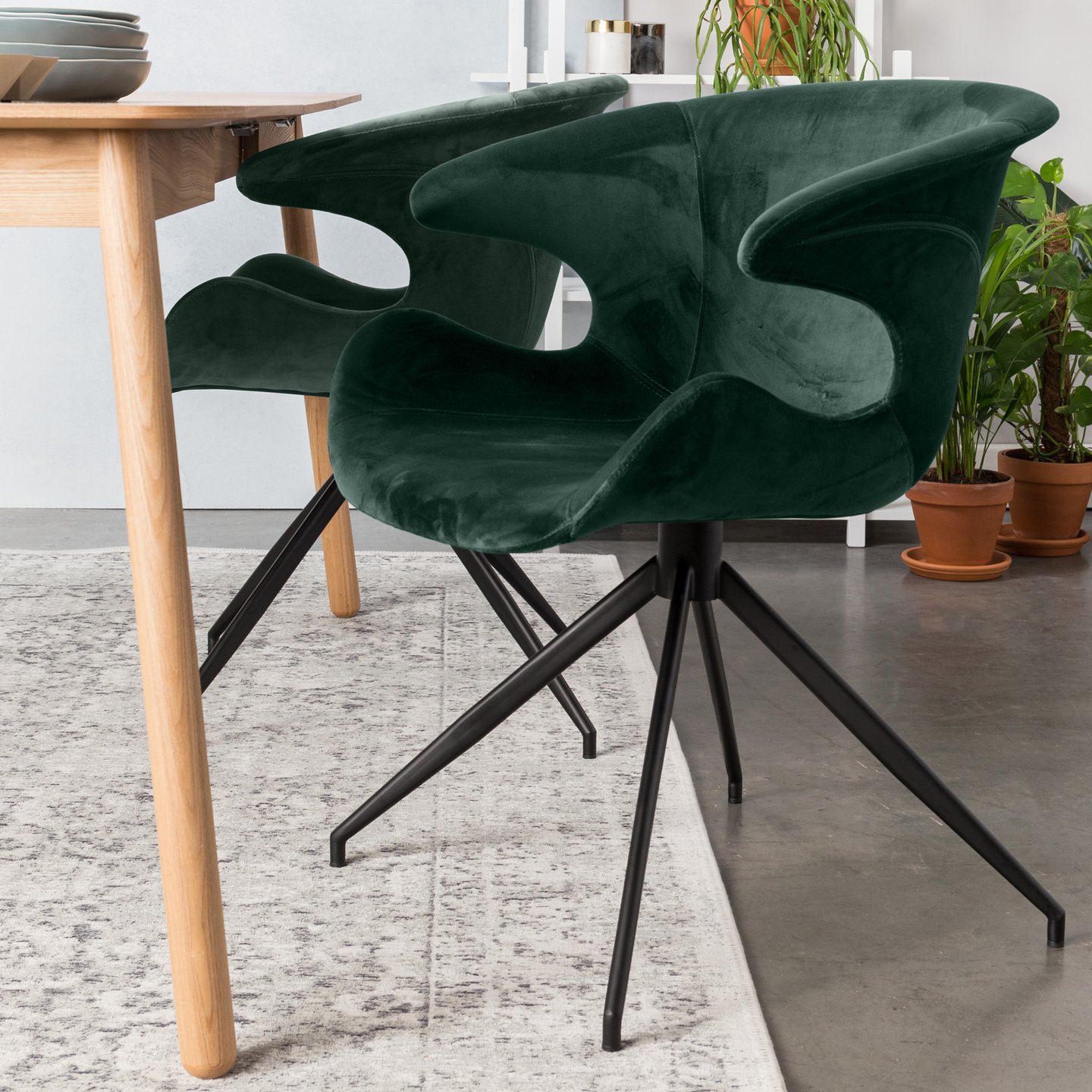 Elastisch Keel Whirlpool Zuiver Mia chair with armrests - 1200148 | REUTER